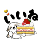 シーズー犬68『ケーキ＆和菓子』（個別スタンプ：12）