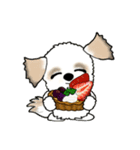 シーズー犬68『ケーキ＆和菓子』（個別スタンプ：38）