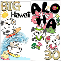 [LINEスタンプ] 【Big】シーズー犬30『Hawaii』