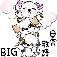 [LINEスタンプ] BIG シーズー犬＆リボン犬【日常敬語】
