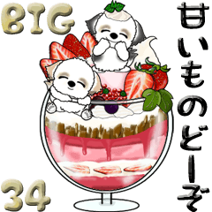 [LINEスタンプ] 【Big】シーズー犬34『sweets どーぞ』