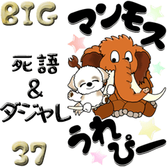 [LINEスタンプ] 【Big】シーズー犬37『死語＆ダジャレ』