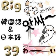 [LINEスタンプ] 【Big】シーズー犬39『韓国語＆日本語』