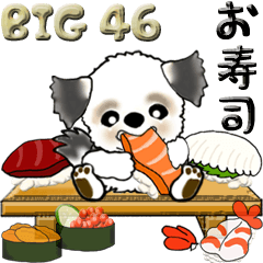 [LINEスタンプ] 【Big】シーズー犬 46『お寿司』