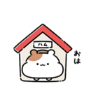 ぷにぷにハムずの毎日使えるスタンプ（個別スタンプ：1）