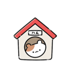 ぷにぷにハムずの毎日使えるスタンプ（個別スタンプ：16）