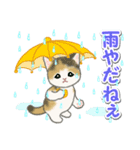 梅雨～夏 もこもこ猫ちゃんズ（個別スタンプ：15）