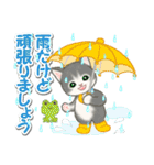 梅雨～夏 もこもこ猫ちゃんズ（個別スタンプ：16）