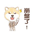 しばいぬ-株式投資(中国語版)（個別スタンプ：8）