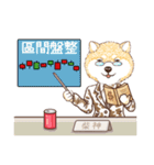 しばいぬ-株式投資(中国語版)（個別スタンプ：12）