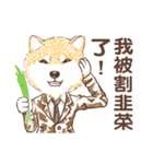 しばいぬ-株式投資(中国語版)（個別スタンプ：31）