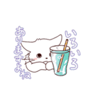 パンツをはいた動くねこのスタンプ（個別スタンプ：17）
