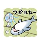 生活感のあるサメ4〜夏のサメ〜（個別スタンプ：16）