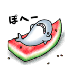 生活感のあるサメ4〜夏のサメ〜（個別スタンプ：34）