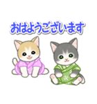 甚平さん猫ちゃんズ（個別スタンプ：2）