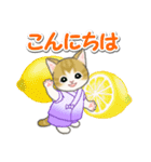 甚平さん猫ちゃんズ（個別スタンプ：3）