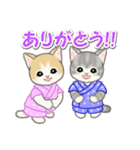 甚平さん猫ちゃんズ（個別スタンプ：13）