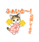 甚平さん猫ちゃんズ（個別スタンプ：17）