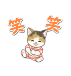 甚平さん猫ちゃんズ（個別スタンプ：27）