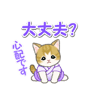 甚平さん猫ちゃんズ（個別スタンプ：30）