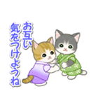 甚平さん猫ちゃんズ（個別スタンプ：31）