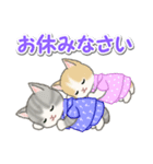 甚平さん猫ちゃんズ（個別スタンプ：38）