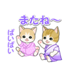 甚平さん猫ちゃんズ（個別スタンプ：39）