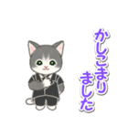 甚平さん猫ちゃんズ（個別スタンプ：40）