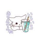 パンツをはいた動くシロネコくん（個別スタンプ：17）