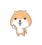 ぷにぷにシバちゃん（個別スタンプ：1）