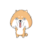 ぷにぷにシバちゃん（個別スタンプ：30）