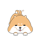 ぷにぷにシバちゃん（個別スタンプ：31）