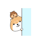 ぷにぷにシバちゃん（個別スタンプ：37）