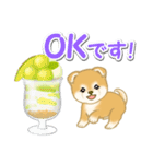 赤ちゃん豆柴と夏スイーツ（個別スタンプ：3）