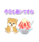赤ちゃん豆柴と夏スイーツ（個別スタンプ：5）
