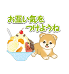 赤ちゃん豆柴と夏スイーツ（個別スタンプ：8）