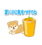 赤ちゃん豆柴と夏スイーツ（個別スタンプ：10）