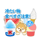 赤ちゃん豆柴と夏スイーツ（個別スタンプ：11）