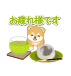 赤ちゃん豆柴と夏スイーツ（個別スタンプ：13）