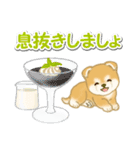 赤ちゃん豆柴と夏スイーツ（個別スタンプ：16）