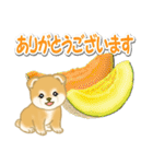 赤ちゃん豆柴と夏スイーツ（個別スタンプ：18）