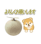 赤ちゃん豆柴と夏スイーツ（個別スタンプ：19）
