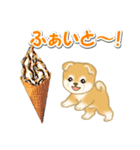 赤ちゃん豆柴と夏スイーツ（個別スタンプ：21）