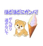 赤ちゃん豆柴と夏スイーツ（個別スタンプ：24）
