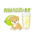 赤ちゃん豆柴と夏スイーツ（個別スタンプ：33）