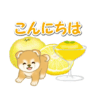 赤ちゃん豆柴と夏スイーツ（個別スタンプ：35）