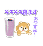 赤ちゃん豆柴と夏スイーツ（個別スタンプ：37）