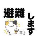 でか文字♦災害安否用♦みけねこスタンプ（個別スタンプ：11）