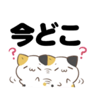 でか文字♦災害安否用♦みけねこスタンプ（個別スタンプ：12）