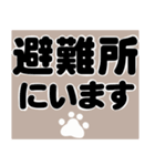 でか文字♦災害安否用♦みけねこスタンプ（個別スタンプ：13）